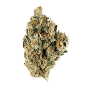 Mango Fruz